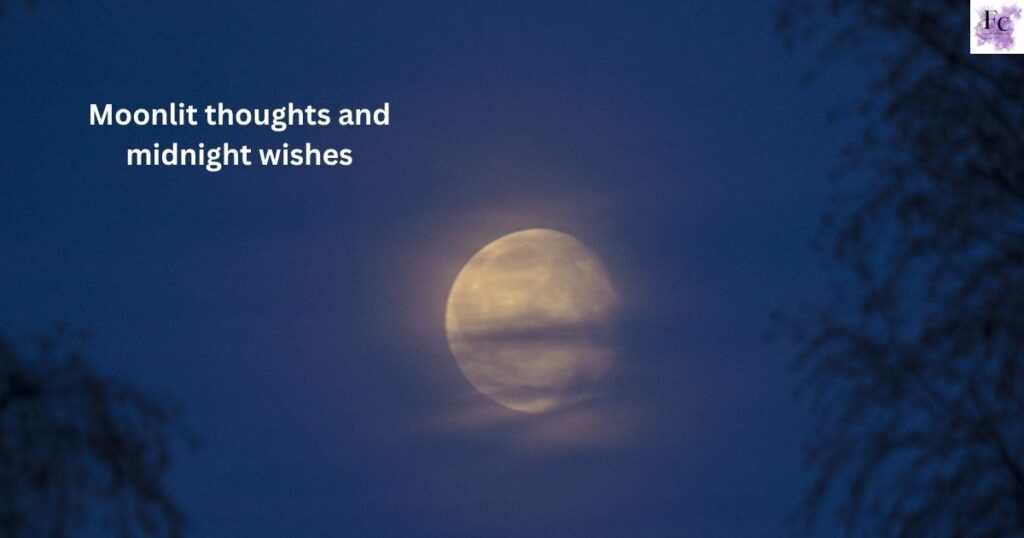 Enchanting Moon Captions for a Mystical Night