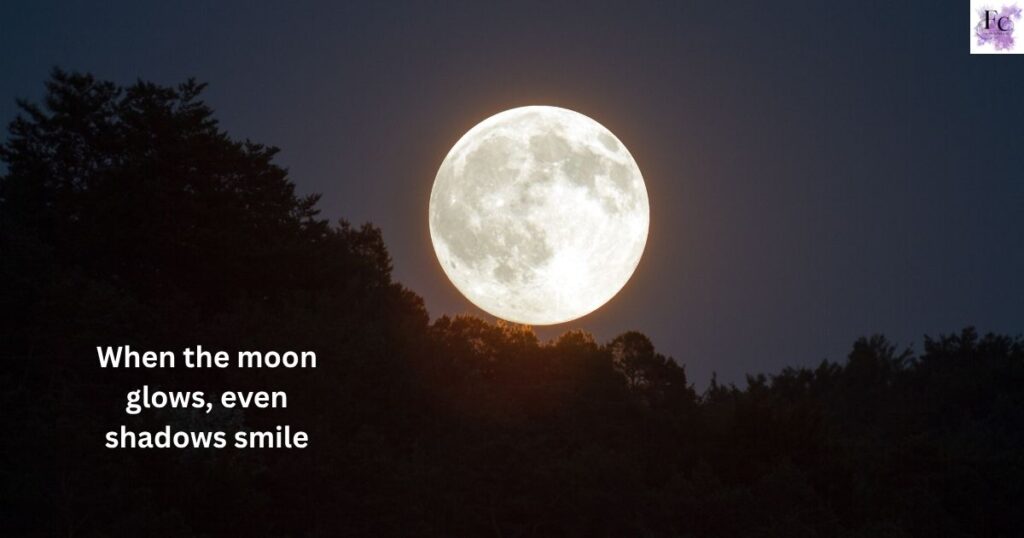 Glowing Moon Captions to Brighten Your Feed