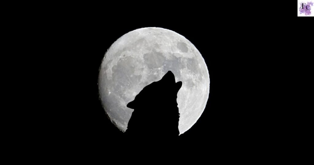 Mystical Moon Captions for the Dreamers
