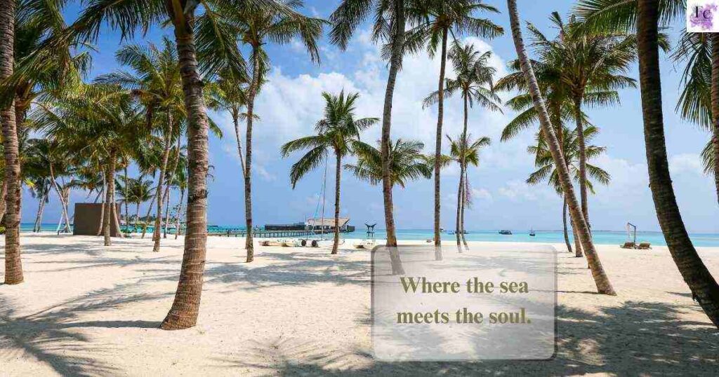 Aesthetic Beach Captions
