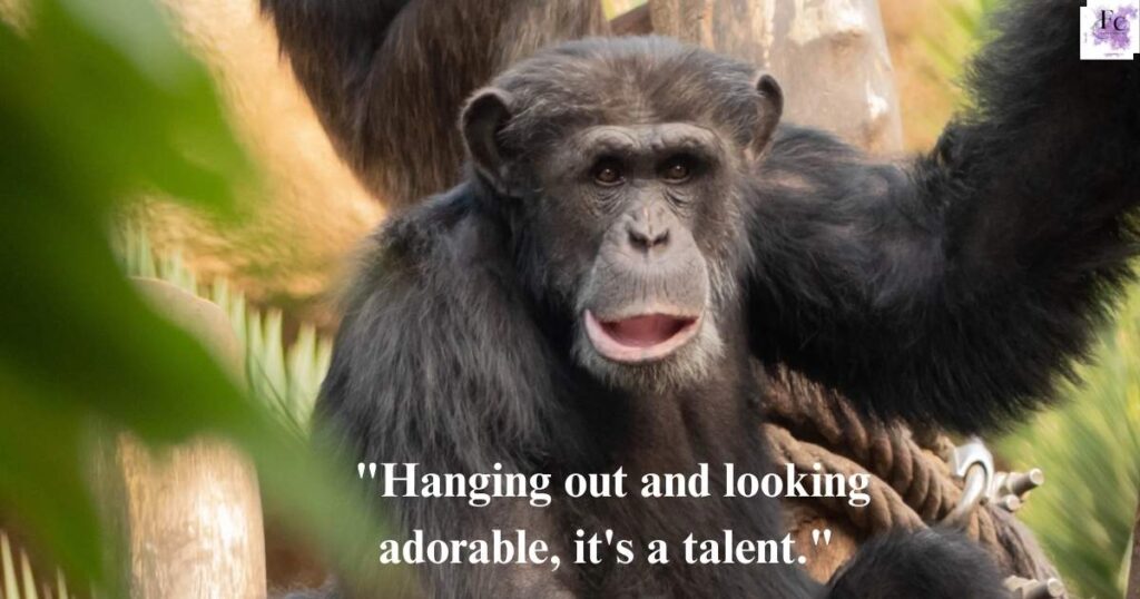 funny monkey captions for instagram with lyrics