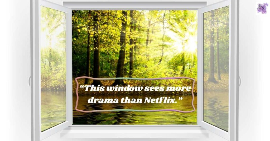 Funny Window Captions For Instagram
