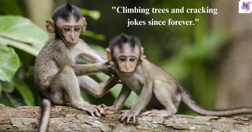 Playful Monkey Captions