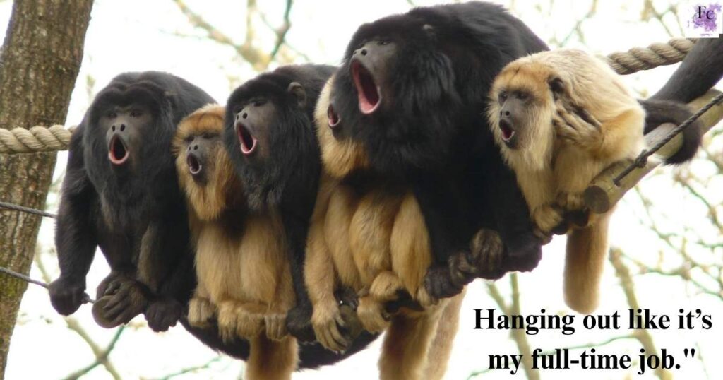 Short funny monkey captions for Instagram