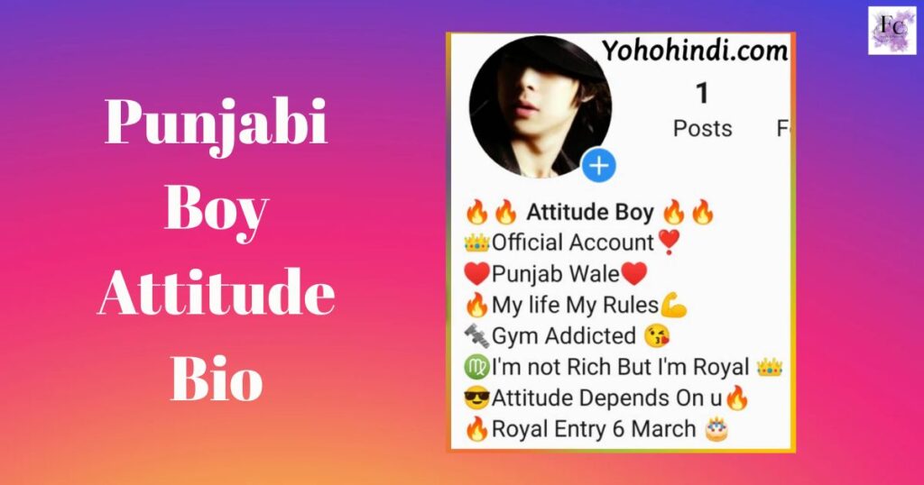 Punjabi Boy Attitude Bio