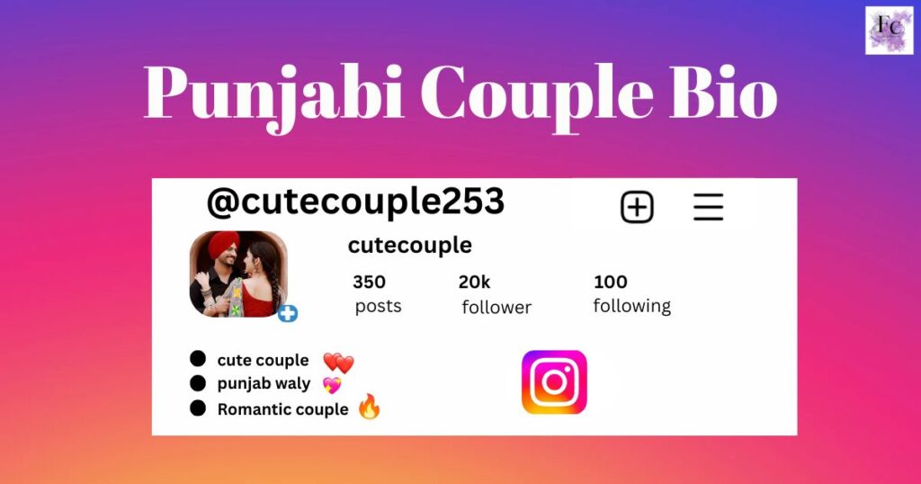 Punjabi Couple Bio
