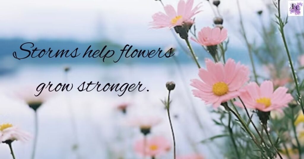 Flower Quotes for Every Mood