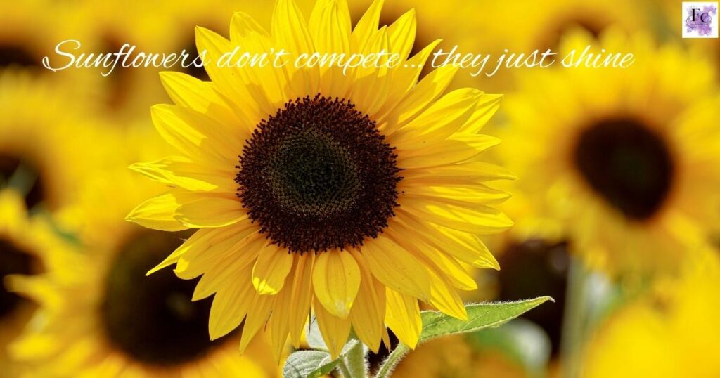 Sunflower Instagram Captions