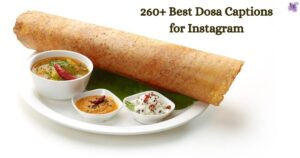 Dosa Captions