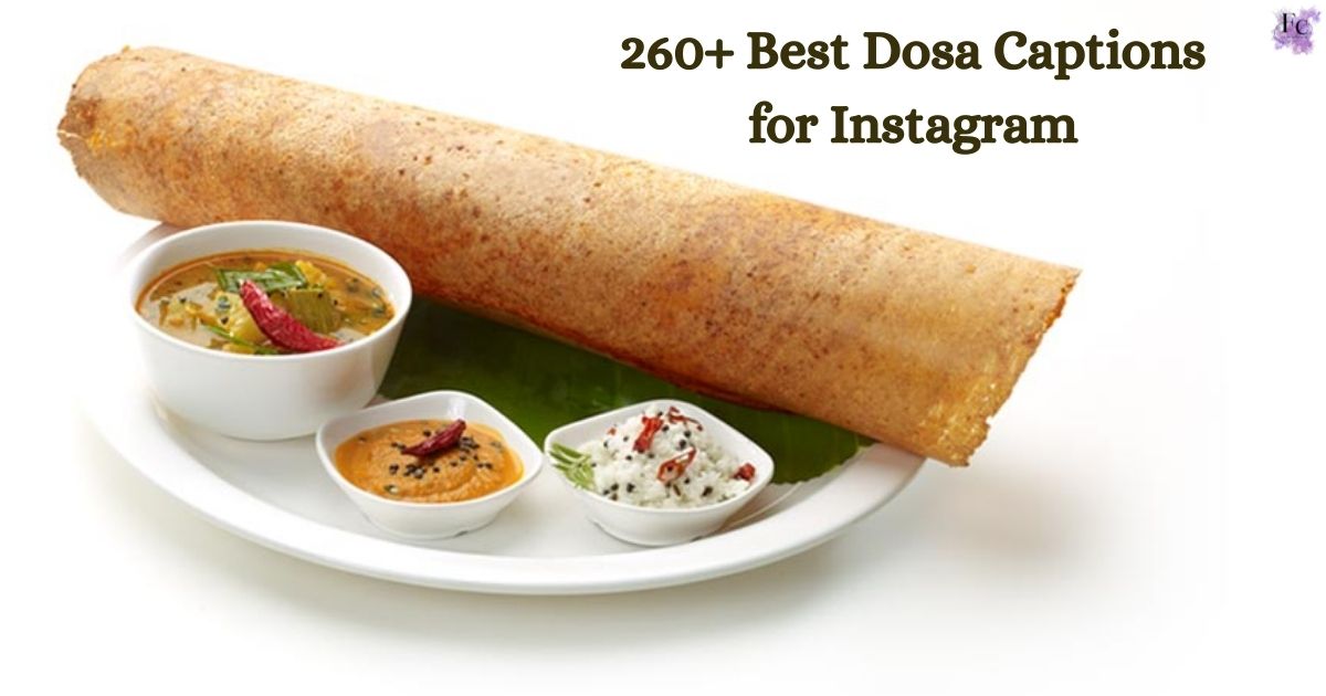 Dosa Captions